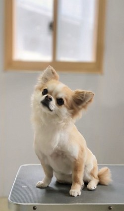 な