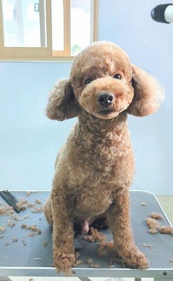 な