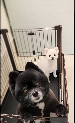 な
