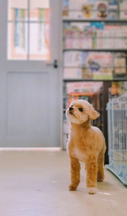 な