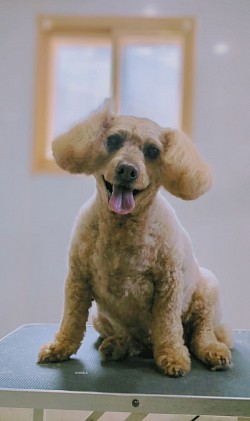 な