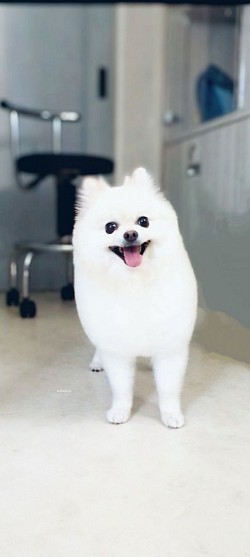 な