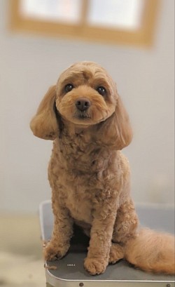 な