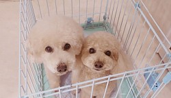 な