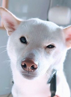 な