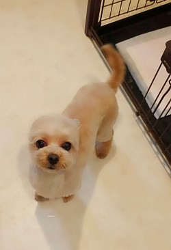 な