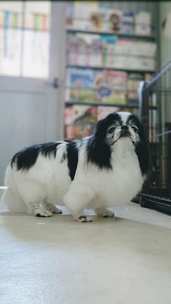 な
