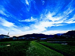 な