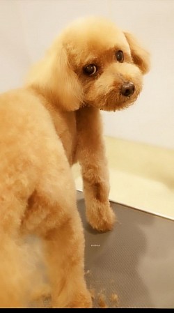 な