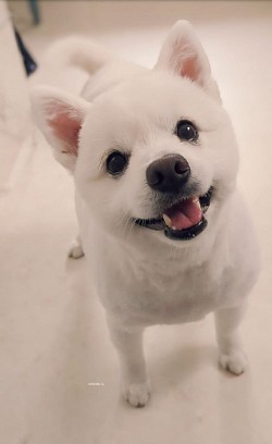 な