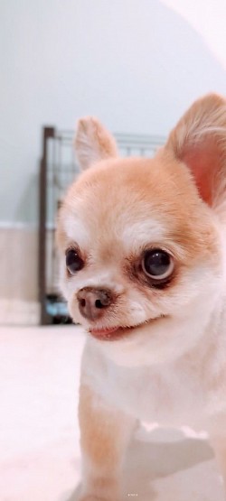 な