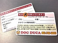 明るい未来