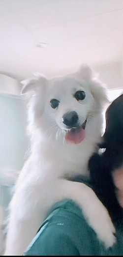 な