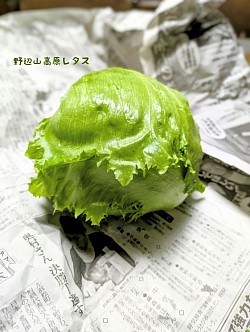 な