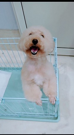 な