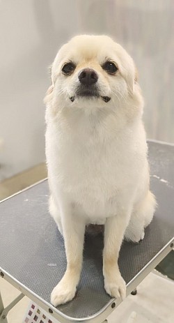 な