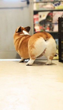 な