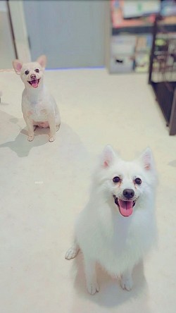 な