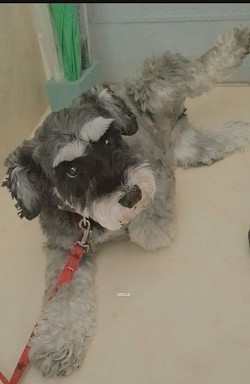 な