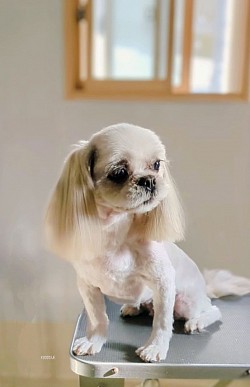 な