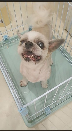 な