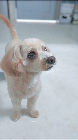 な