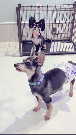 な