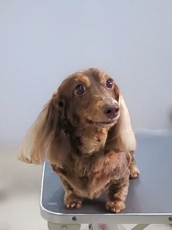 な