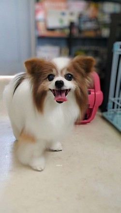 な