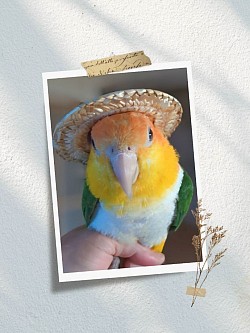 な