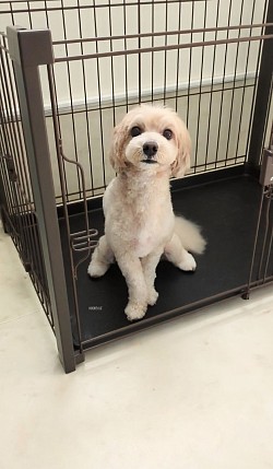 な