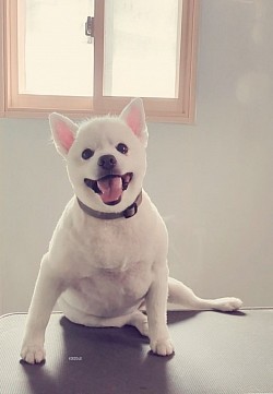な