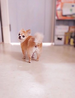 な
