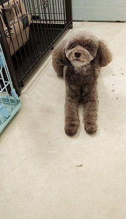 な