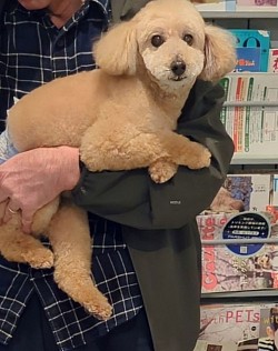 な