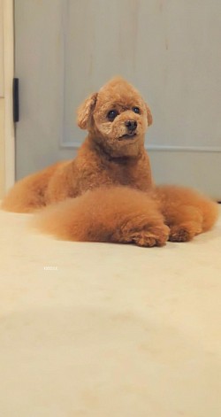 な