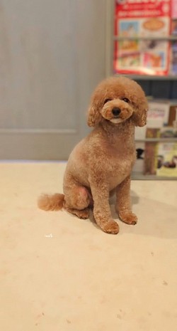 な