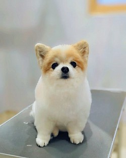 な