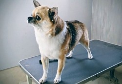 な