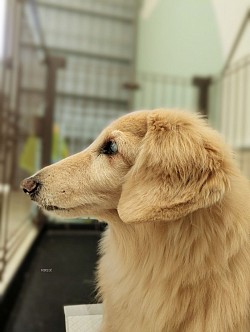 な