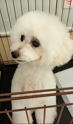 な