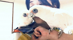 な