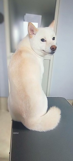 な