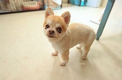 な