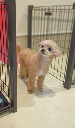 な