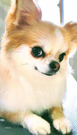 な