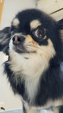 な