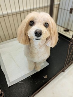 な