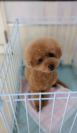 な