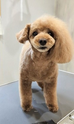 な